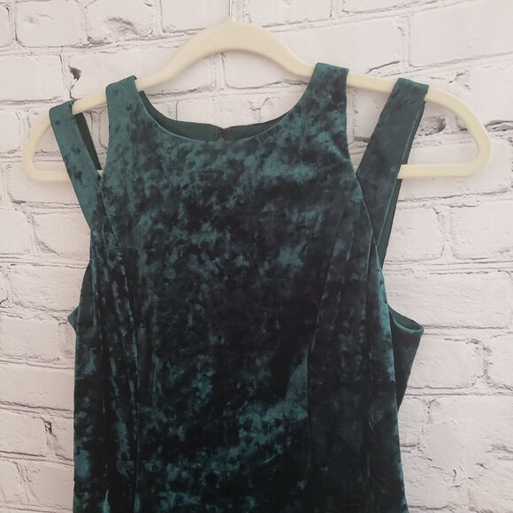 Maggy London Velour Dress - Picture 2 of 11
